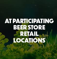 TBS Homepage Desktop Cycle4 3