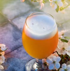 C3-Homepage-Group1-Banner4-Asset-Desktop-&-Ipad